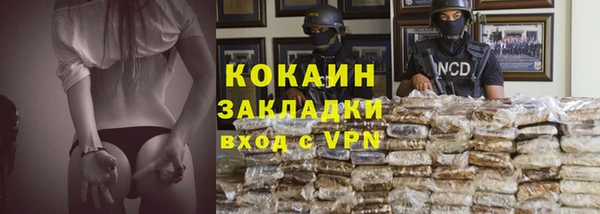 соль ск Алексин