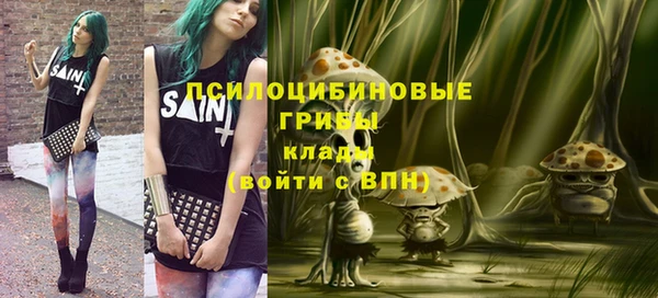 Альфа ПВП Арсеньев